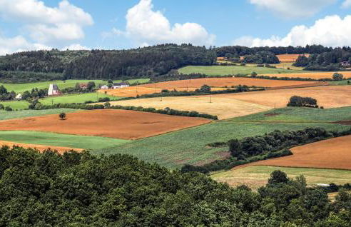 Kleiner Fuchs - Foto 32