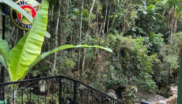 Chalé Paradiso - Photo 3