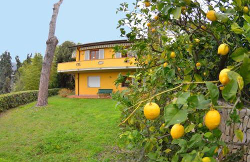 Il Corbezzolo - Photo 6