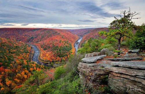 Chalet Retreat w/ Hot Tub, Short Walk to Lake & Pool - Photo 9
