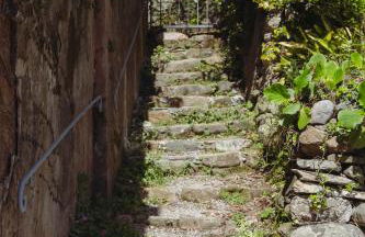 Residenza Nemus Olea Mare e Montagna - Foto 8