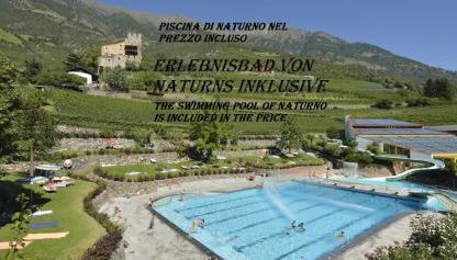 El Paradiso - Foto 2