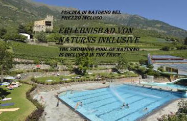 El Paradiso - Foto 2