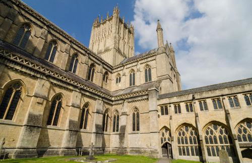 Dragonfly Two - Photo 17