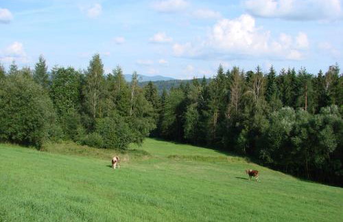 Villa Victoria - Foto 22