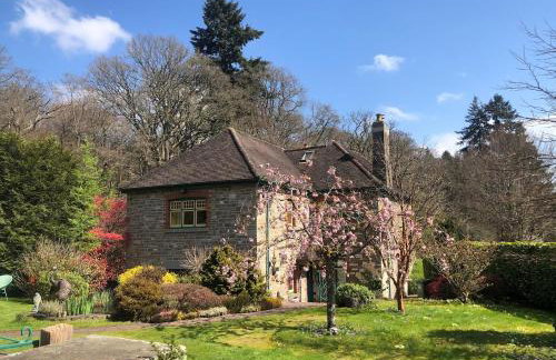 Historic Pike House with Beautiful Garden - Photo 1