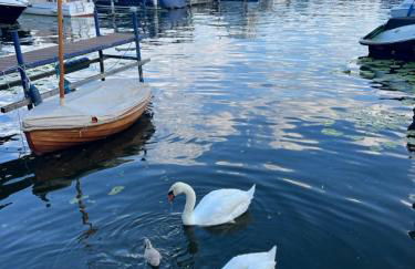 Schiffspension Luise - Foto 49