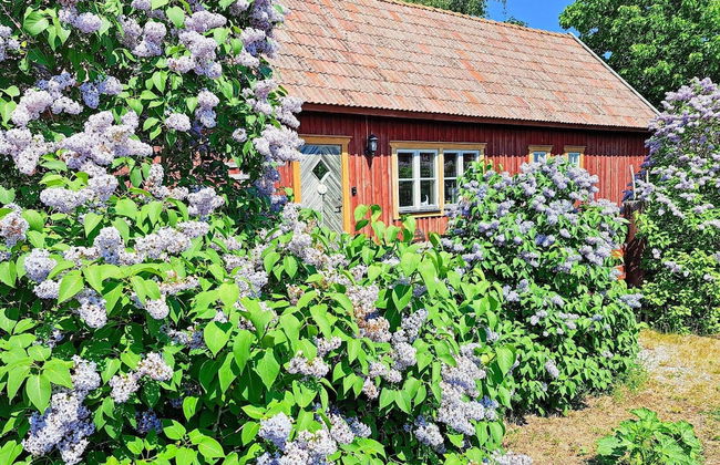 4 Person Holiday Home in Gotlands.tofta - Photo 63