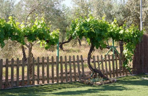 Casa Rural Olivar de la Marquesa - Foto 29