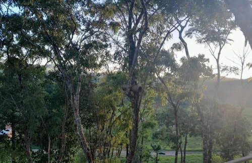 Cabana Gracillis em Alfredo Wagner - Serra Catarinense - Photo 10