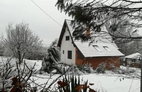 ČAROBNA ŠUMA ***(magic forest) - Foto 38