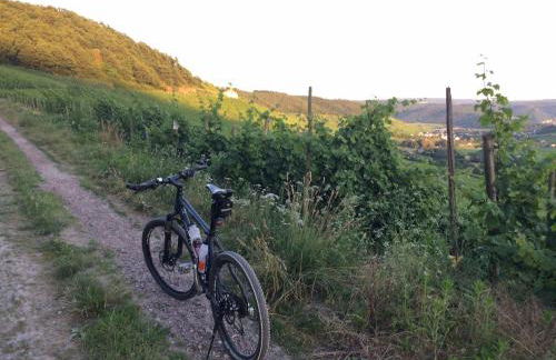 FeWo Freis in Brauneberg - Foto 43