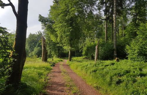 ferienwohnungen.ruhla - Foto 16