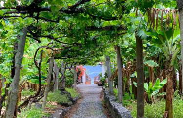 Fajã dos Padres - Foto 41