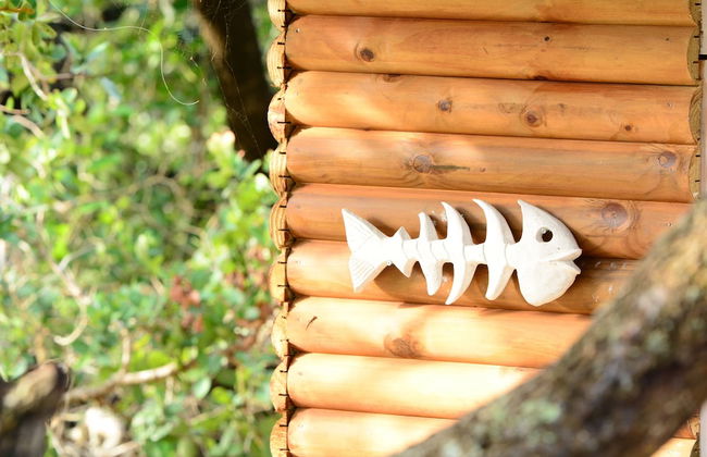 Visgraat Luxury Self Catering Unit - Photo 11