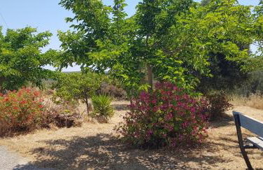 LOURANTIANIKA HOUSE - Foto 24