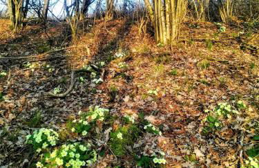 Agriturismo Malvista - Foto 66