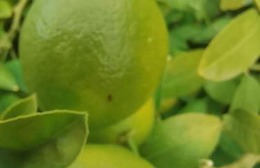 Studio Camille - Foto 21