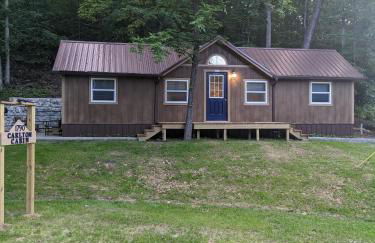 Carlton Cabin at Lake of Egypt 500 Sq Ft - Photo 47