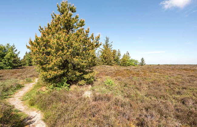 "Atti" - 2.5km from the sea - Foto 12