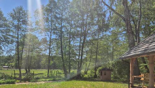 Pet Friendly Home In Spore - Foto 2