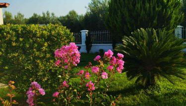BLUE HOUSE - Photo 5