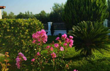 BLUE HOUSE - Photo 5