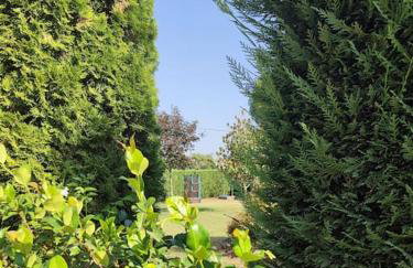 Foggy House Ioannina - Foto 34