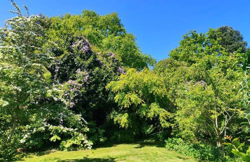 La Tonnelle - Foto 43