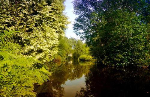 The Ferny Hoolet - Foto 25