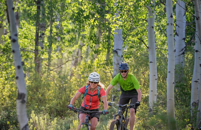 Vista Verde Ranch All-inclusive Cabin - Photo 47