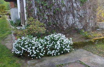 La Ginestra - Foto 18