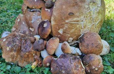 Reset w górach - Foto 34