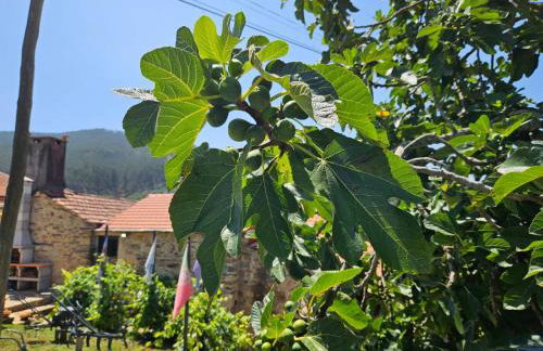 Ribança Village - Foto 46
