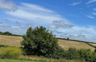 Reddaway Byre- brand new conversion - Foto 3