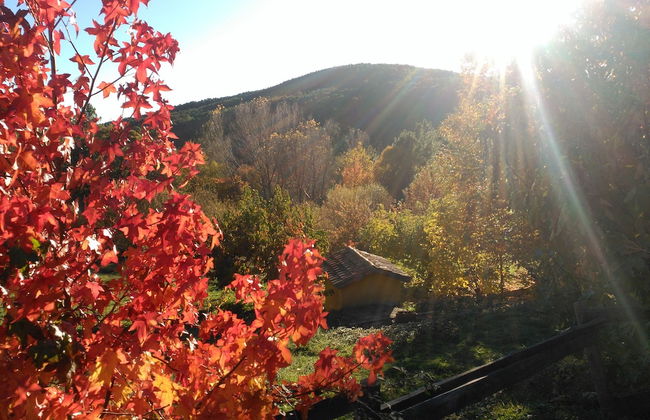Casa Rural Las Gesillas - Foto 31