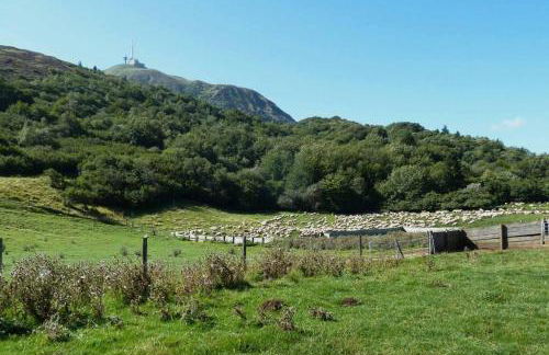 Charmant T2 rénové et climatisé chez Cathy - Foto 11