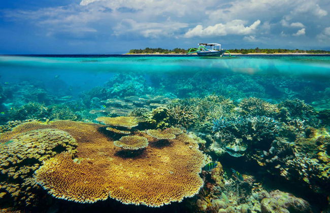 Boat to Nusa Lembongan & Gili Islands - Photo 3