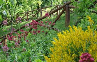 Agriturismo Il Falco del Monte Fumaiolo - Foto 44