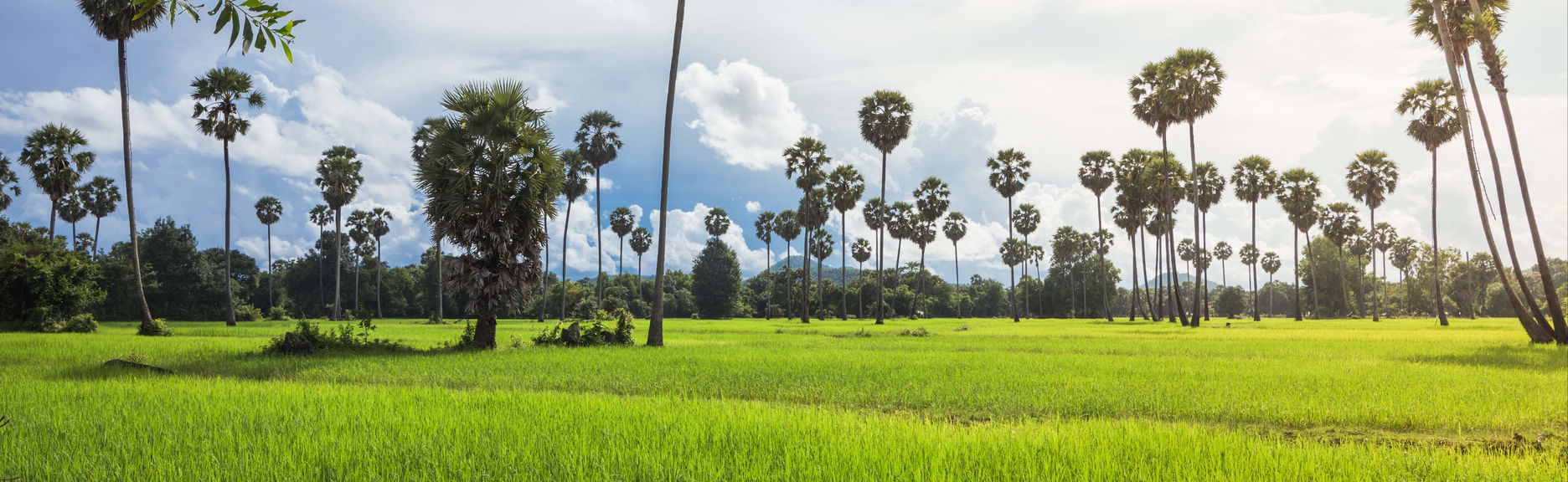 Floating Village Tour - Foto 1