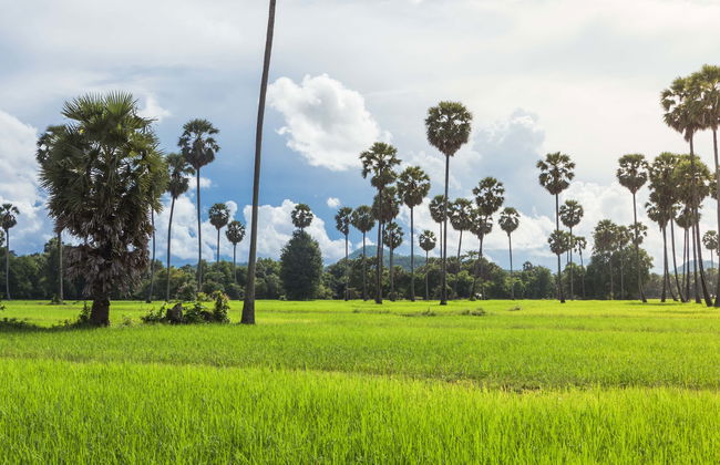 Floating Village Tour - Foto 1