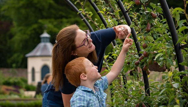 Hillsborough Castle Gardens Entrance Ticket - Foto 4