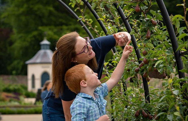 Ingresso dos jardins do castelo de Hillsborough - Foto 4