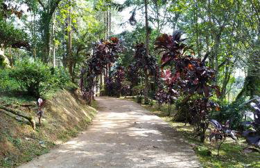 Sitio Mogi das Cruzes - Foto 37