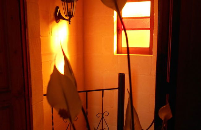 Narcisa Farmhouse B&B - Foto 22