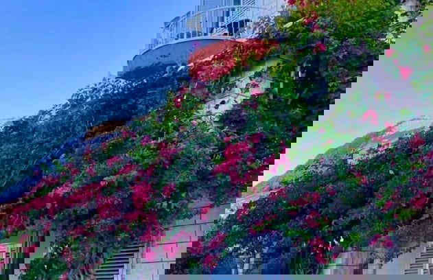 Villa Bouganvillea - sea View & Garden - A3 Comfort - Photo 16