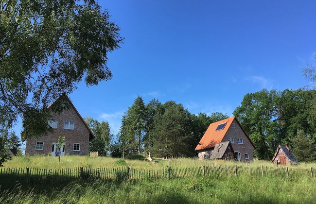 Bispinger Heidezauber - Foto 31