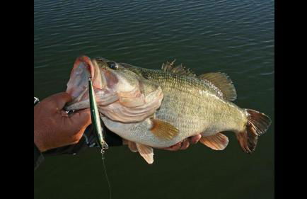 Portage Lakes Serenity - Foto 35