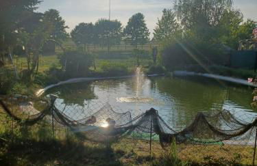 Zimmer und Apartment Rosi - Foto 65