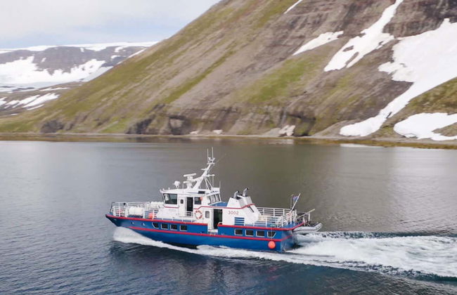 Avistamento de baleias em Isafjordur - Foto 6